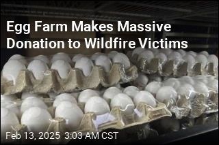 Farm Donates 325K Eggs to Wildfire Victims, Firefighters