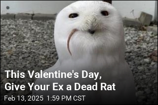 This Valentine&#39;s Day, Name a Dead Rat After Your Ex