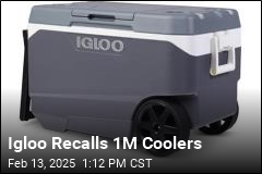 Igloo Recalls 1M Coolers Over Finger Injuries