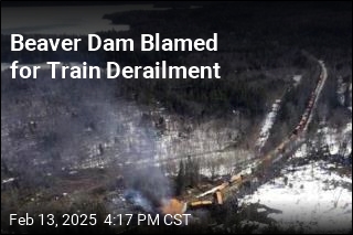 Beaver Dam Blamed for Maine Train Derailment