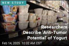 Researchers Describe &#39;Anti-Tumor Potential&#39; of Yogurt