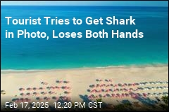 Tourist Loses Hands Trying to Get Photo of Shark