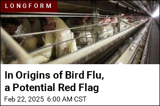 In Origins of Bird Flu, a Potential Red Flag