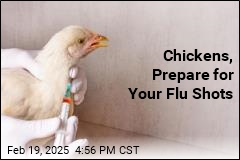 Chickens, Prepare for Your Flu Shots