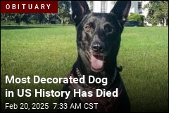 Most Decorated Dog in US History Has Died