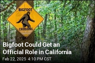 Bigfoot Could Get an Official Role in California