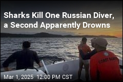 Undercurrents Sweep Away Russian Tourists on Dive