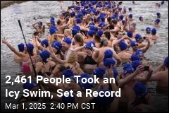 A New Record for Largest Polar Bear Swim Has Been Set