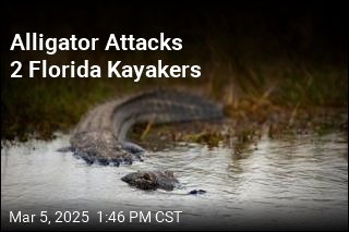 Florida Kayaker Bitten by Alligator