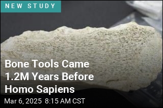 Bone Tools Came 1.2M Years Before Homo Sapiens