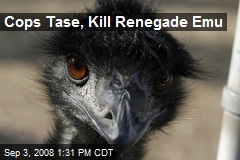 Cops Tase, Kill Renegade Emu
