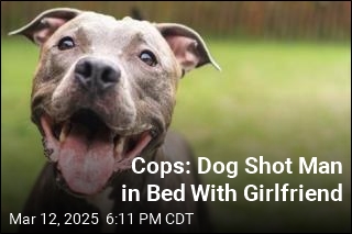 Cops: Dog Shot Man in Bed With Girlfriend