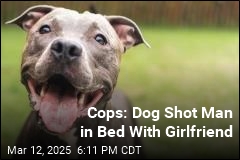 Cops: Dog Shot Man in Bed With Girlfriend