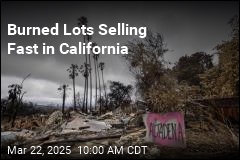 Hot New Real-Estate Market: California&#39;s Burned Lots