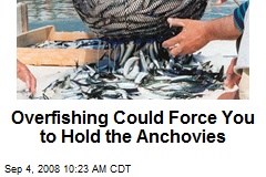 Overfishing Could Force You to Hold the Anchovies