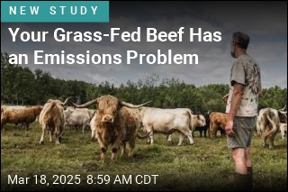 Grass-Fed Beef Has an Emissions Problem