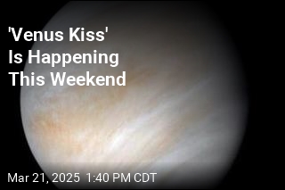 &#39;Venus Kiss&#39; Is Happening This Weekend