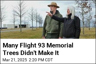 Revitalizing Flight 93 Memorial Trees Will Take Decades