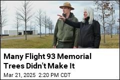 Revitalizing Flight 93 Memorial Trees Will Take Decades