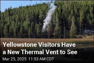 Yellowstone Visitors Have a New Thermal Vent to See