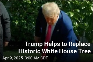 White House Says Trump Planted &#39;MAGAnolia&#39; Tree