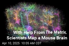 To Map the Brain, Scientists Made a Mouse Watch The Matrix