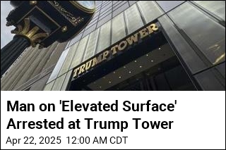 Man Arrested on &#39;Elevated Surface&#39; at Trump Tower