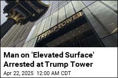 Man Arrested on &#39;Elevated Surface&#39; at Trump Tower