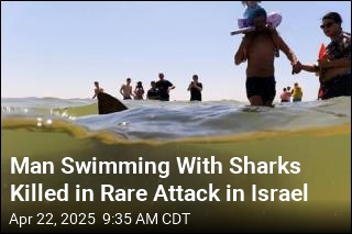 Swimmer&#39;s Remains Found in Israel, Shark Attack Feared