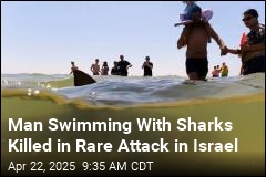 Swimmer&#39;s Remains Found in Israel, Shark Attack Feared