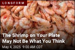 Inside the Quest to Expose Shrimp Fraud