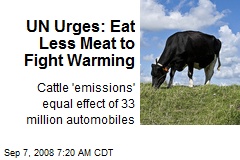 UN Urges: Eat Less Meat to Fight Warming