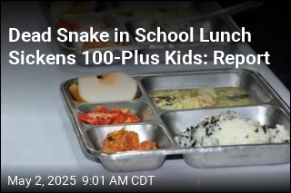 Dead Snake in School Lunch Sickens 100-Plus Kids: Report