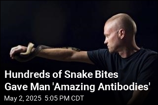 His Hundreds of Snake Bites Could Help Humanity