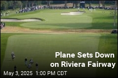 Small Plane Lands Along Fairway of Famed LA Course