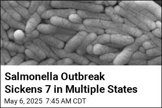 Salmonella Outbreak Sickens 7 in Multiple States