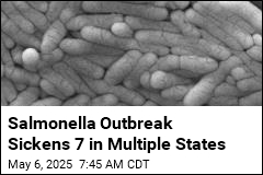 Salmonella Outbreak Sickens 7 in Multiple States