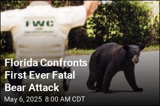Florida Confronts First Ever Fatal Bear Attack