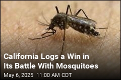 California Logs a Win in Its Battle With Mosquitoes