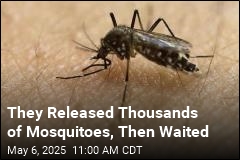 California Logs a Win in Its Battle With Mosquitoes