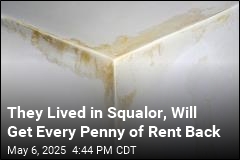 His DC Tenants Lived in Squalor. It&#39;ll Cost Him