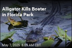 Alligator Kills Boater in Florida Park