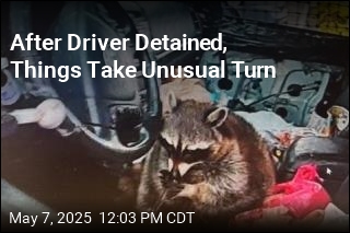 After Driver Detained, Things Take Unusual Turn