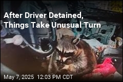 After Driver Detained, Things Take Unusual Turn
