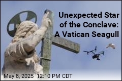 Unexpected Star of the Conclave: A Vatican Seagull