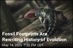 Scientists Find Earliest Evidence of Walking Animal