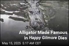 Alligator That Starred in Happy Gilmore Dies