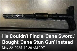 Flier Has Explanation for Stun Gun Hidden in Cane