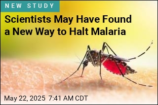 In Quest to Vanquish Malaria, a &#39;Momentous Step&#39;