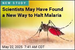 In Quest to Vanquish Malaria, a &#39;Momentous Step&#39;